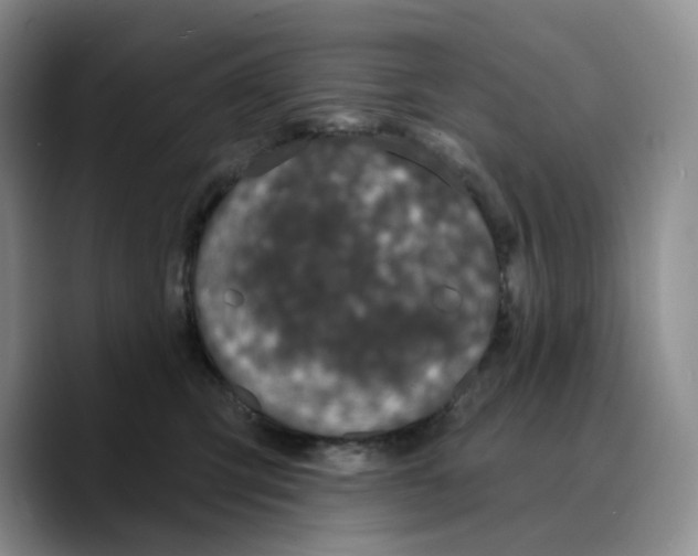 X0000089740423200707201906