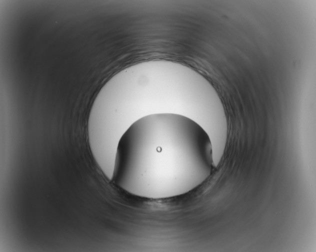 X0000089740425200707201906