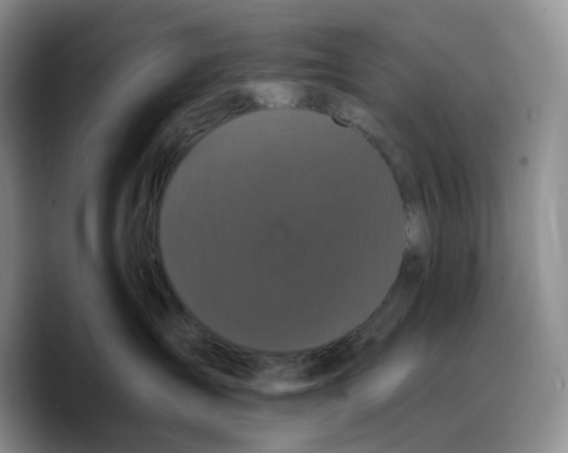 X0000089740431200707201905