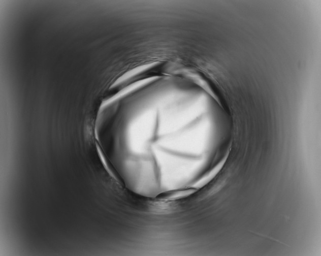 X0000089740432200707201905