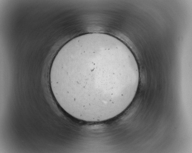 X0000089740433200707201905