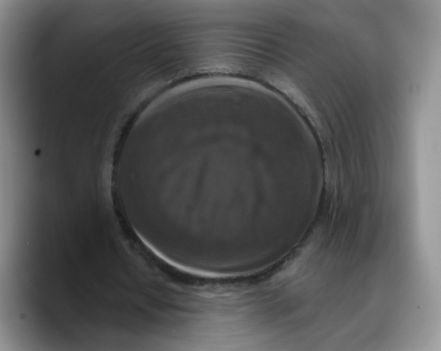 X0000089740434200707201905