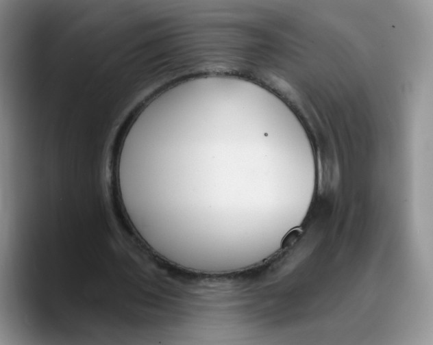 X0000089740435200707201905
