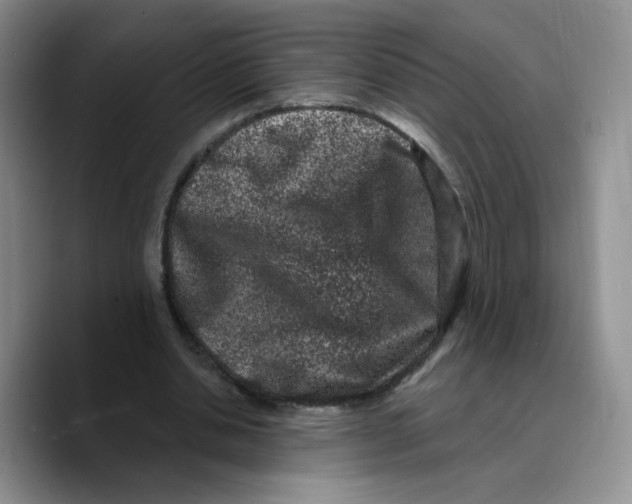 X0000089740438200707201905