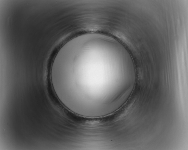 X0000089740440200707201905