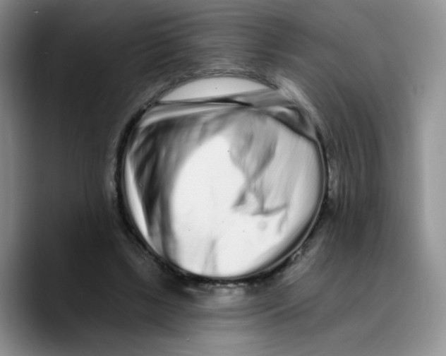 X0000089740443200707201905