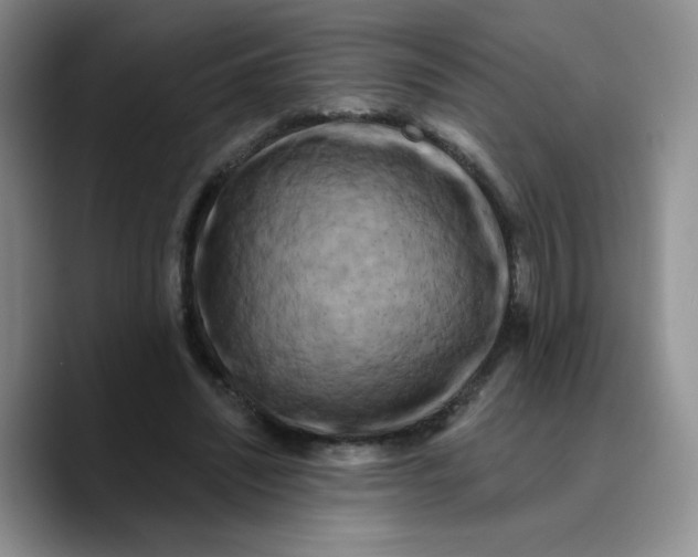 X0000089740444200707201905