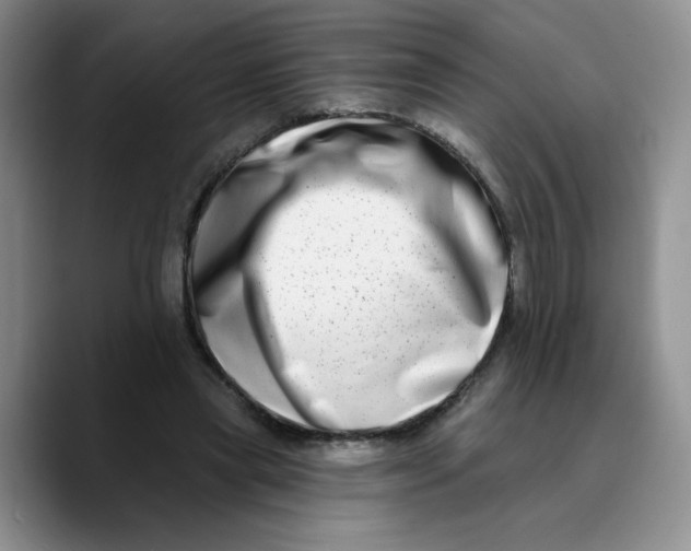 X0000089740445200707201905