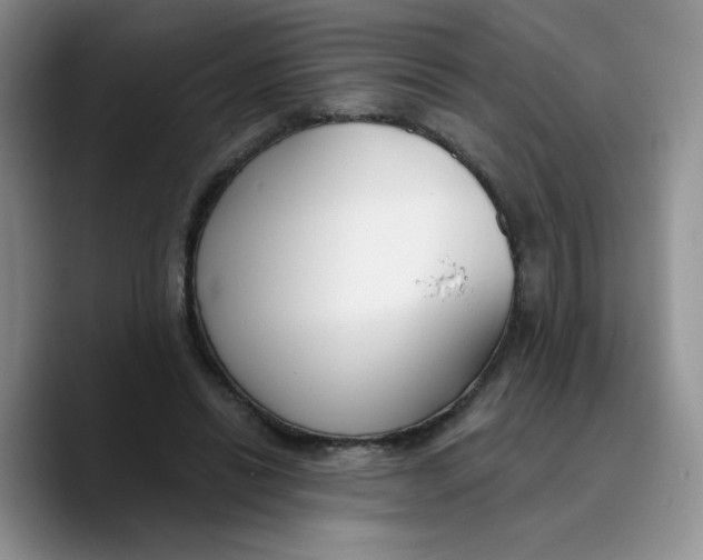 X0000089740446200707201905