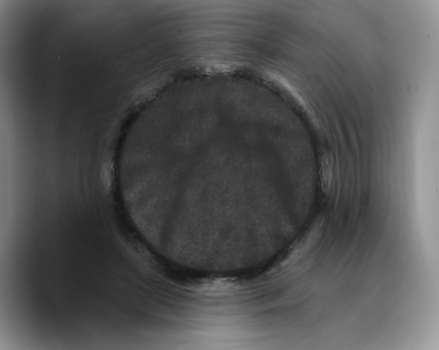 X0000089740451200707201905
