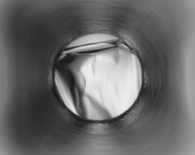 X0000089740453200707201905