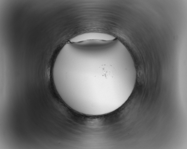 X0000089740454200707201905