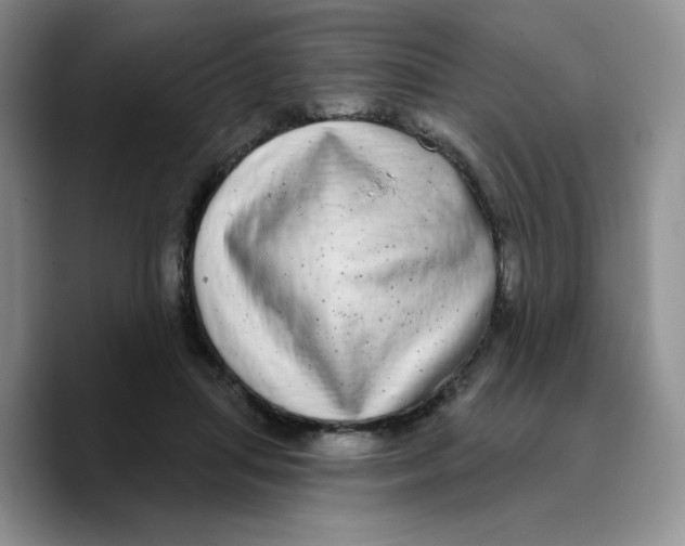 X0000089740455200707201905