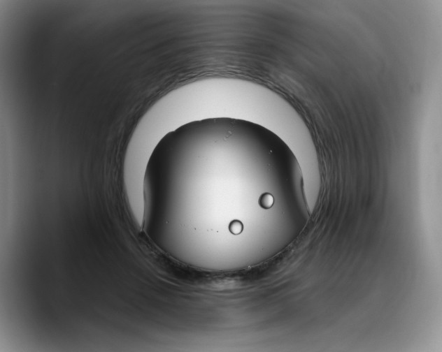 X0000089740456200707201905
