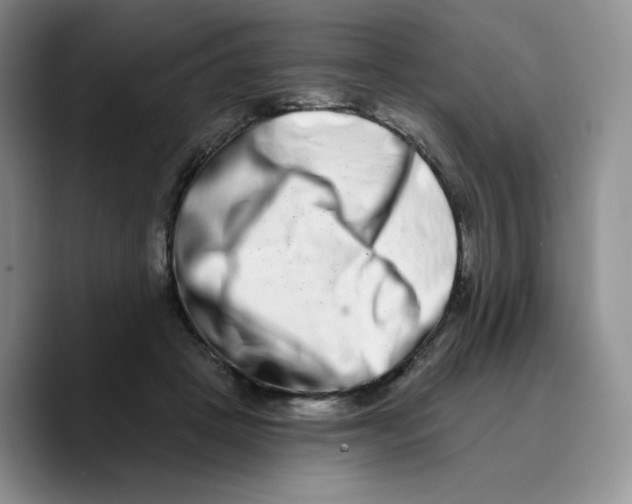 X0000089740457200707201905