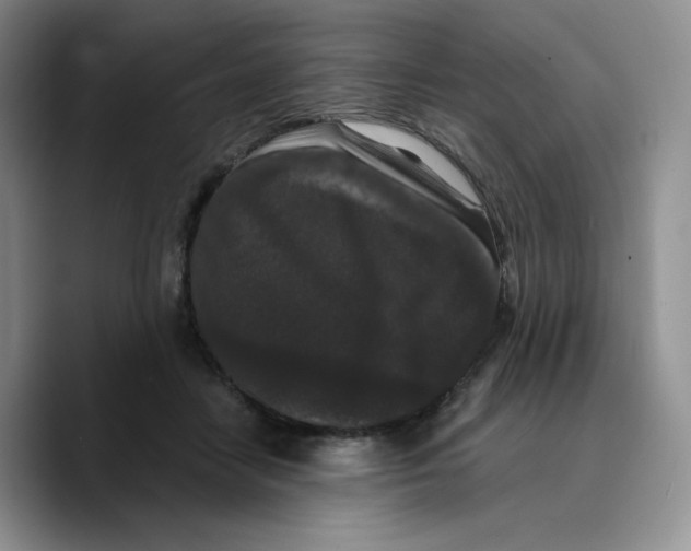 X0000089740458200707201905