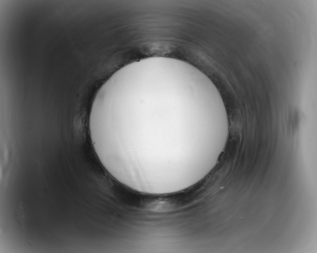 X0000089740460200707201905