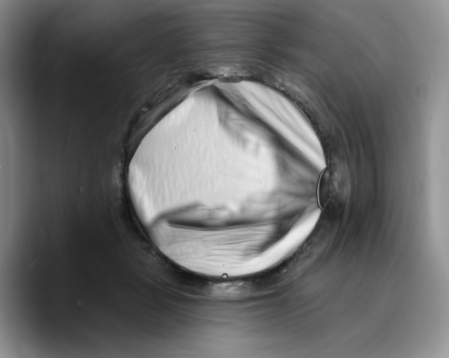 X0000089740461200707201905