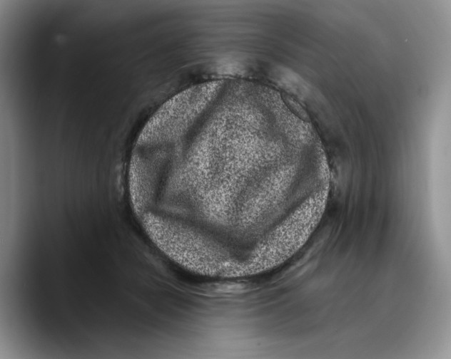 X0000089740462200707201905