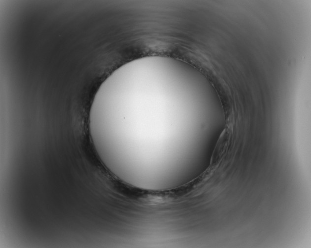 X0000089740464200707201905