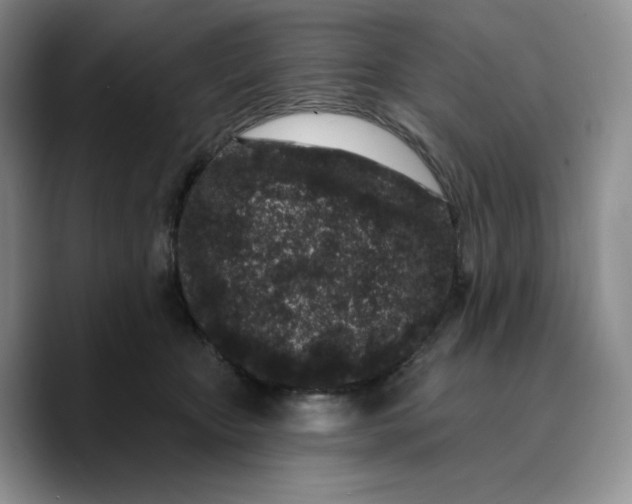 X0000089740467200707201905