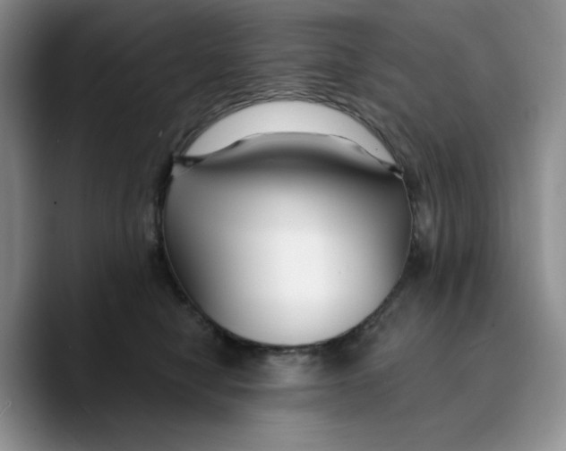 X0000089740470200707201905