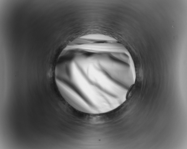 X0000089740472200707201905