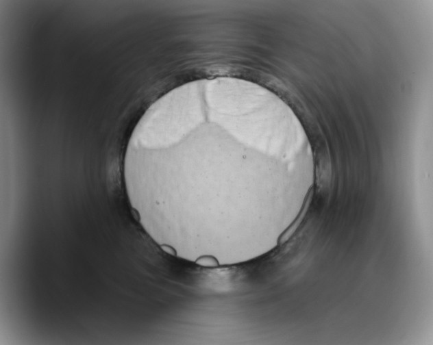 X0000089740473200707201905