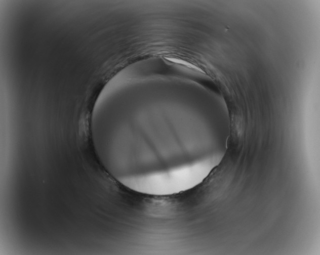 X0000089740475200707201905
