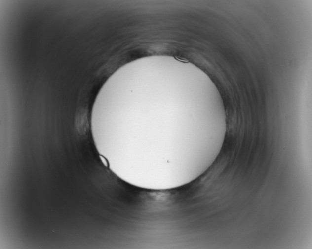 X0000089740478200707201905