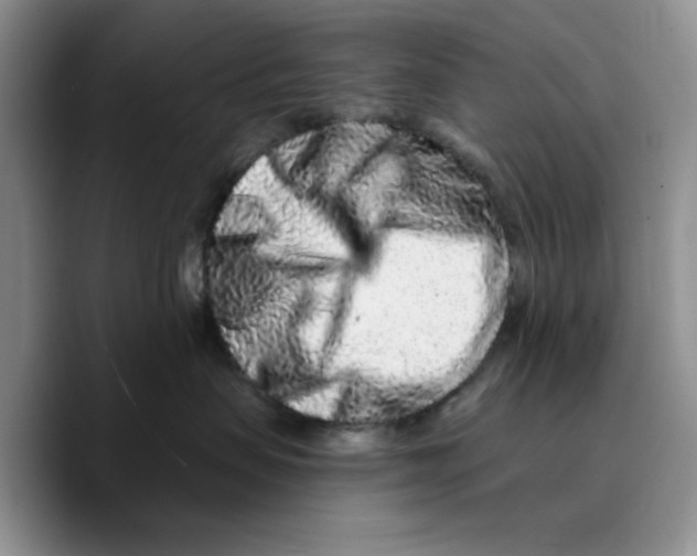 X0000089740479200707201905