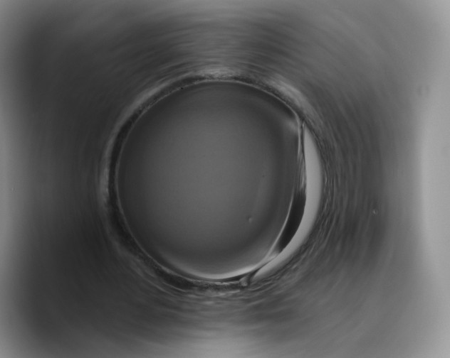 X0000089740484200707201905
