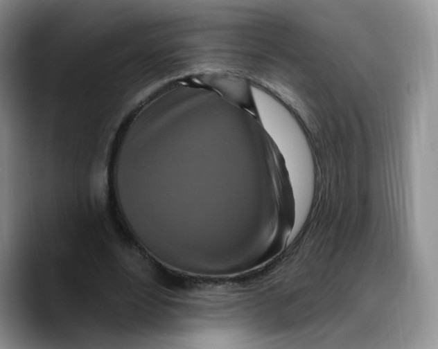 X0000089740488200707201905