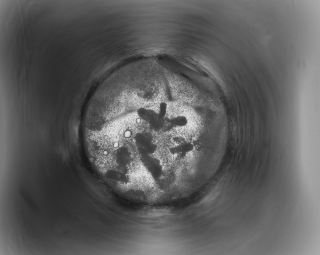 X0000089740491200707201905