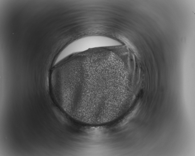 X0000089740493200707201905