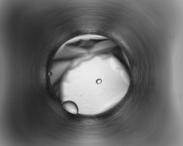 X0000089740494200707201905