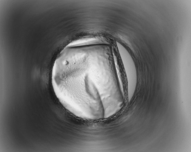 X0000089740495200707201905