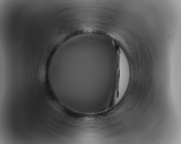 X0000089740496200707201905