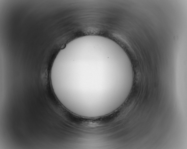 X0000089740498200707201905