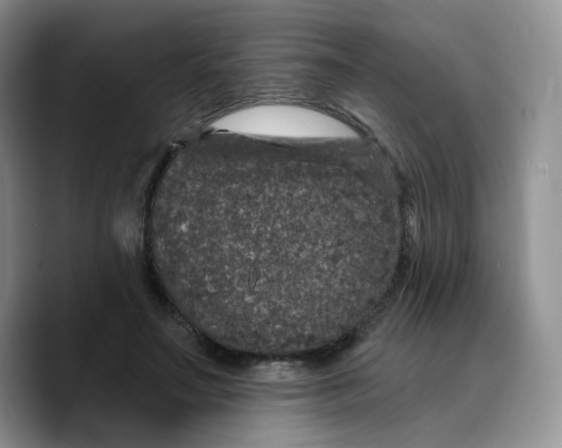 X0000089740499200707201905