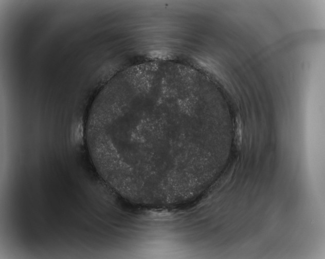 X0000089740502200707201905