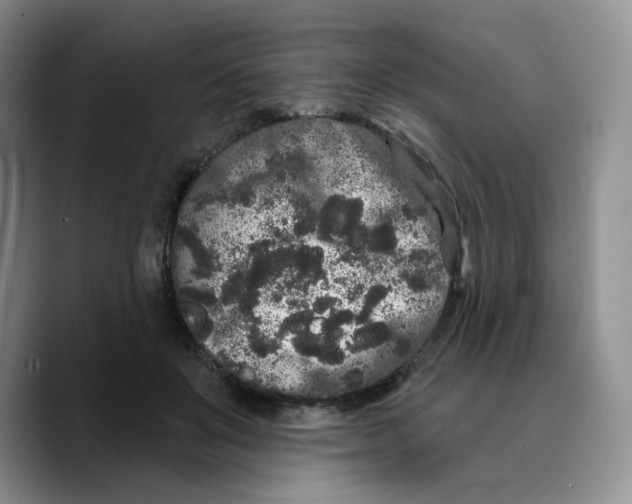 X0000089740503200707201905