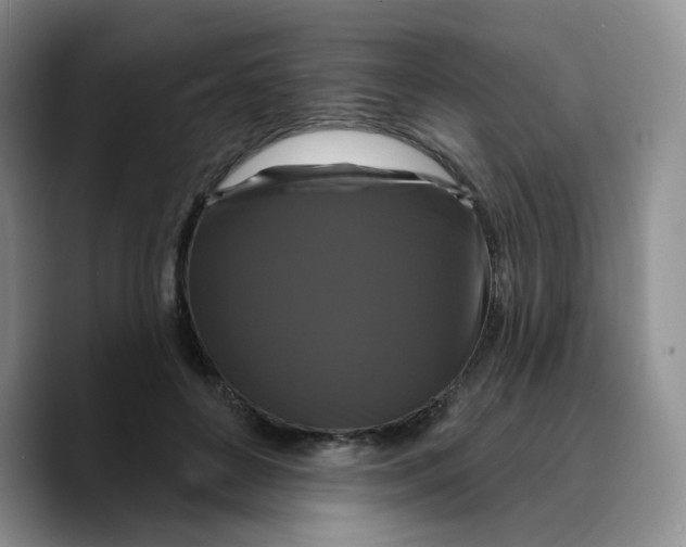 X0000089740504200707201905