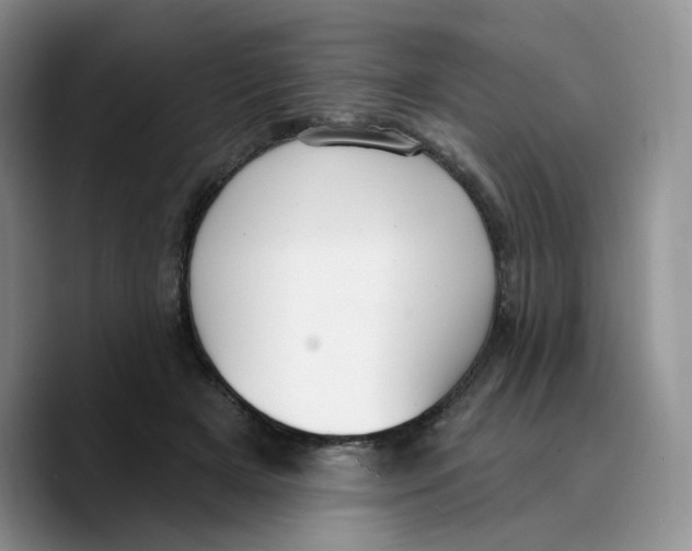 X0000089740505200707201905