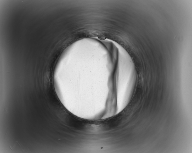 X0000089740506200707201905