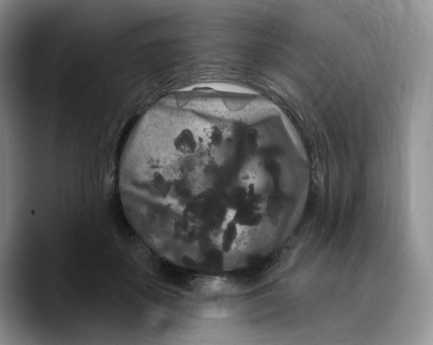 X0000089740507200707201904