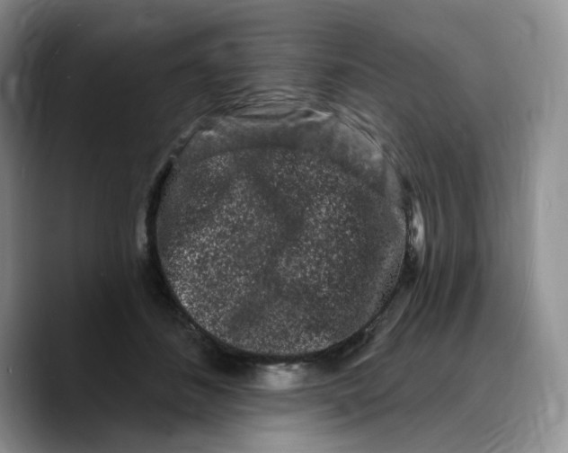 X0000089740508200707201904