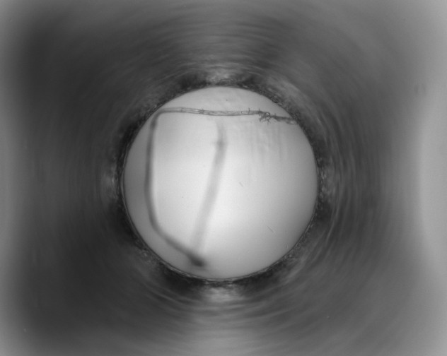 X0000089740510200707201904