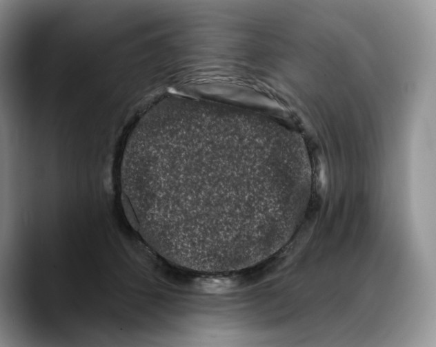 X0000089740512200707201904