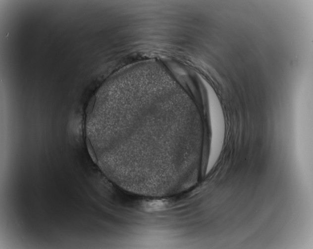 X0000089740513200707201904
